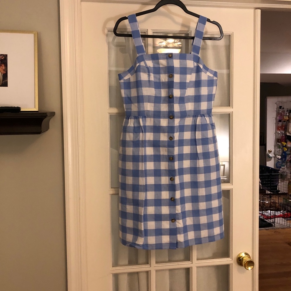 JCrew Picnic Dress